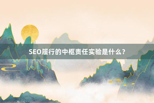 SEO履行的中枢责任实验是什么？