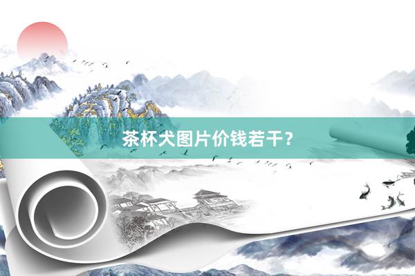 茶杯犬图片价钱若干？